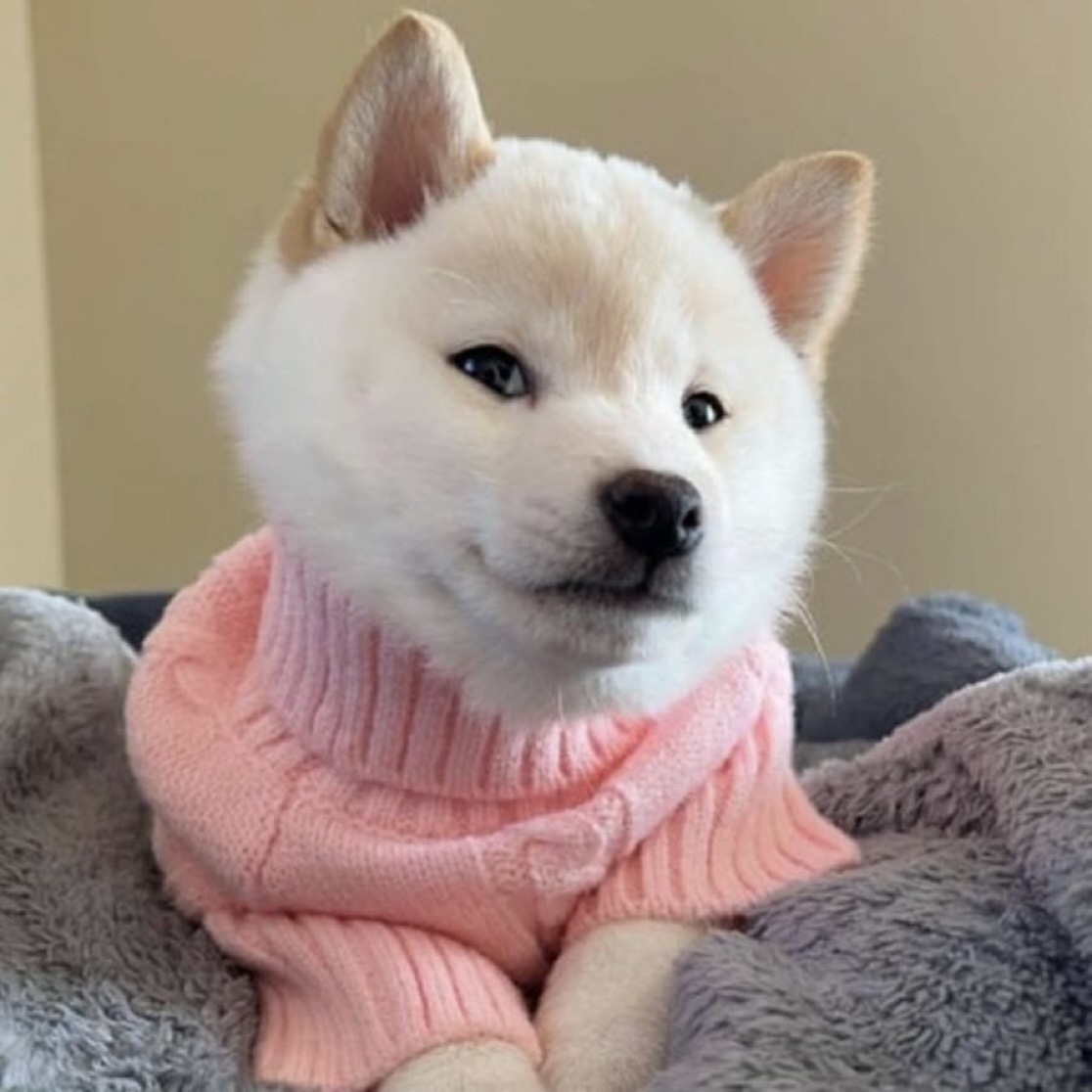 Gnocchi
